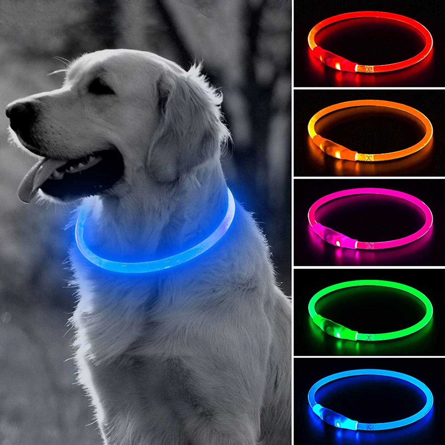 Led Glowing Dog Collar