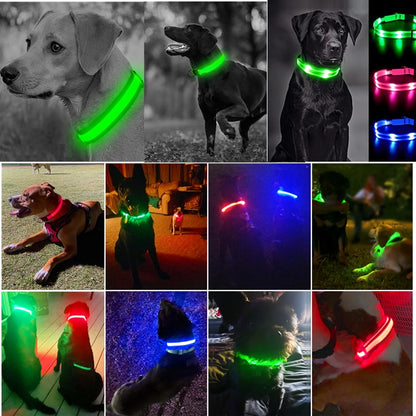 Led Glowing Dog Collar