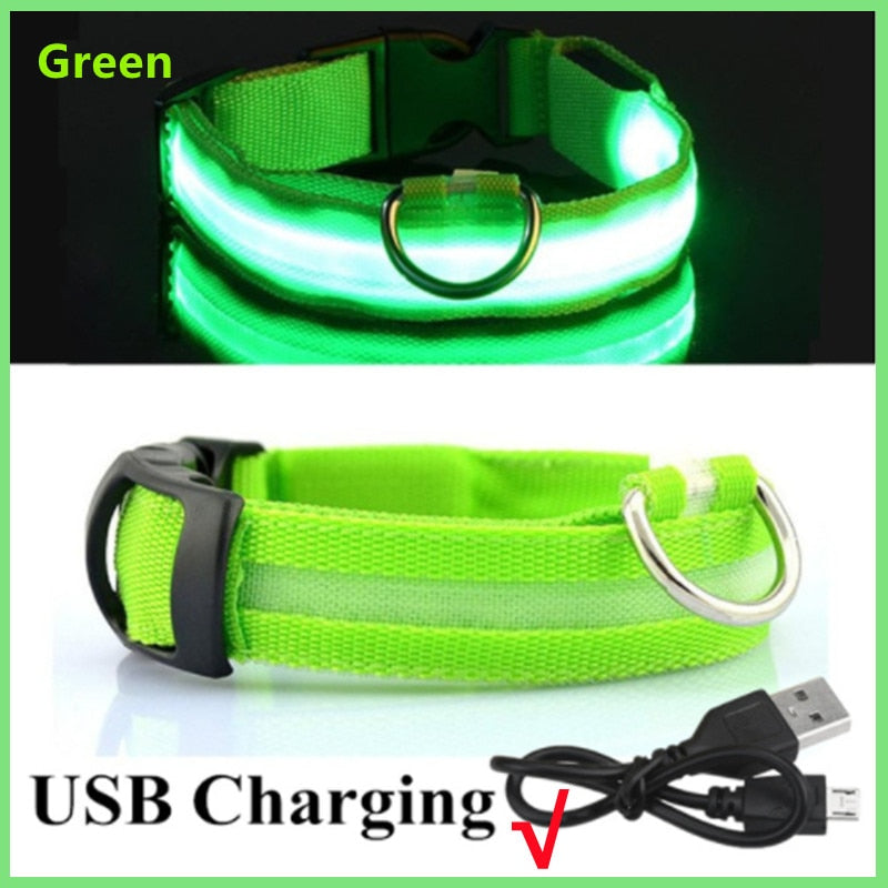 Led Glowing Dog Collar