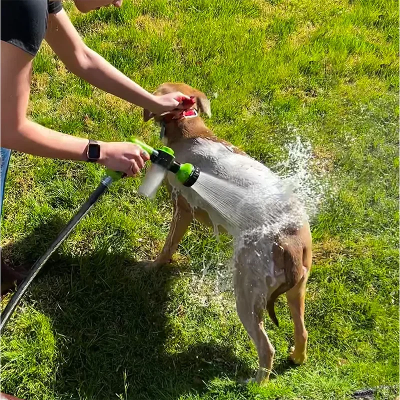 Dog pressure hose