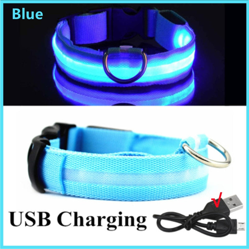 Led Glowing Dog Collar